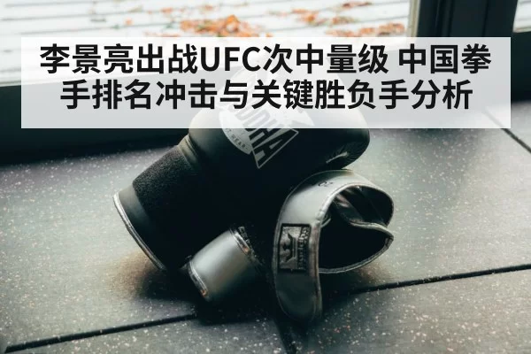 boxing training gloves